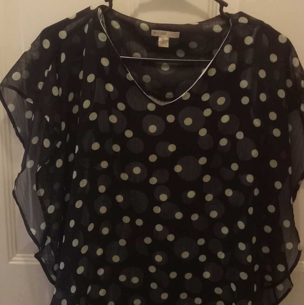 Polka Dot Blouse with flowing short sleeves.